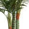 Kunstpalmboom met 3 stammen 180 cm polypropeen groen