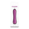 Mini Vibrator NS Novelties Charms Fern Ruby Rood