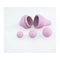 Bekkenbodemtrainer Femintimate N10045