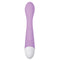 G-spot Vibrator Evolved Roze