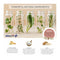 Multi-voedingsstoffen 500 Cosmetics 30 Stuks