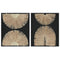 Canvas Home ESPRIT Zwart Natuurlijk Modern Boho 50 x 3 x 60 cm (2 Stuks)