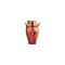 Anale Plug XR Roze Siliconen