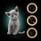 SHEBA Kitten Selectie van Smaken in saus - nat kattenvoer - 40x85 g