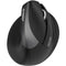Wireless muis Urban Factory ERGO PRO 4000 dpi Zwart