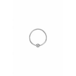 Ring Locked 27 mm Staal
