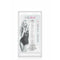 Zwarte Dildo Pure Jelly