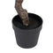 Decoratieve plant 105 x 100 x 160 cm Groen PVC Eucalyptus