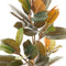 Decoratieve plant PVC Ijzer Vijgen 36 x 37 x 90 cm