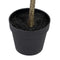 Decoratieve plant Polyethyleen Eucalyptus 80 x 82 x 180 cm
