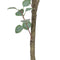 Decoratieve plant Polyethyleen Eucalyptus 80 x 82 x 180 cm