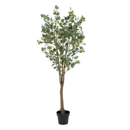 Decoratieve plant 80 x 75 x 173 cm Groen PVC Eucalyptus
