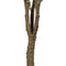 Decoratieve plant 80 x 75 x 173 cm Groen PVC Eucalyptus