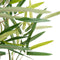 Decoratieve plant 50 x 51 x 150 cm Groen PVC Bamboe