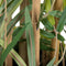 Decoratieve plant 30 x 33 x 120 cm Groen PVC Bamboe