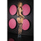Bodystocking Lapdance Zwart (Één maat)