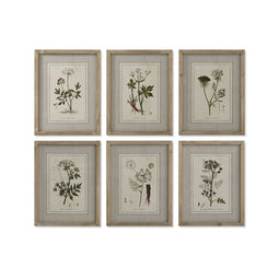 Schilderij Home ESPRIT Shabby Chic Botanische planten 30 x 2 x 40 cm (6 Stuks)