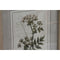 Schilderij Home ESPRIT Shabby Chic Botanische planten 30 x 2 x 40 cm (6 Stuks)