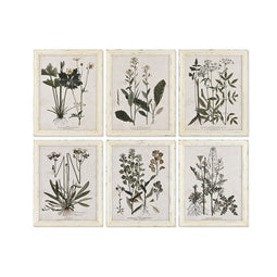 Schilderij Home ESPRIT Shabby Chic Botanische planten 40 x 1,5 x 50 cm (6 Stuks)