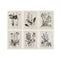 Schilderij Home ESPRIT Shabby Chic Botanische planten 40 x 1,5 x 50 cm (6 Stuks)