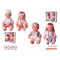 Poppetjes 2 Stuks Geluid Accessoires 30 cm