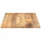 Tafelblad rechthoekig 120x50x2,5 cm massief mangohout