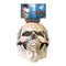 Masker Halloween Schedel Bruin