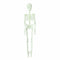 Halloween Decoraties Skelet 150 cm Fluorescerend