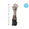 Halloween Decoraties Hand 42 x 11 cm