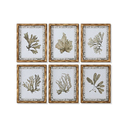 Schilderij Home ESPRIT Groen Beige Gouden Botanische planten 28 x 2,8 x 36 cm (6 Stuks)