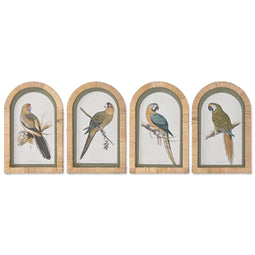 Schilderij Home ESPRIT Groen Beige Papegaai Tropisch 22,5 x 2,5 x 35,5 cm (4 Stuks)