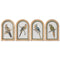Schilderij Home ESPRIT Groen Beige Papegaai Tropisch 22,5 x 2,5 x 35,5 cm (4 Stuks)