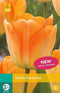3 stuks - JUB - Tulipa Daydream 8 bollen