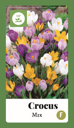 2 stuks - JUB - Crocus Mix 80 bollen