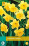 5 stuks - JUB - Narcissus Carlton 4 bollen