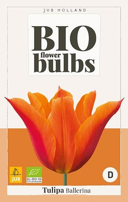 JUB - Tulipa Ballerina - bio