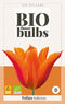 JUB - Tulipa Ballerina - bio