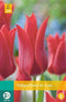 5 stuks - JUB - Tulipa Pieter de Leur 5 bollen