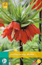 3 stuks - JUB - Fritillaria imp. Rubra 1 bollen