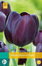 3 stuks - JUB - Tulipa Queen of Night 8 bollen