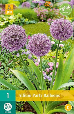 JUB - Allium party balloons