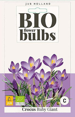 3 stuks - JUB - Crocus Ruby Giant 12 bollen