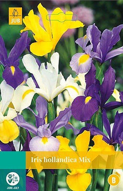 5 stuks - JUB - Iris hollandica mix 20 bollen