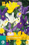 5 stuks - JUB - Iris hollandica mix 20 bollen