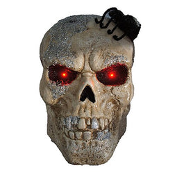 Buitengewoon de Boet - Halloween LED Skull Spider