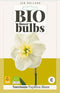3 stuks - JUB - Narcissus Papillon Blanc 4 bollen