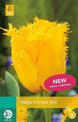 5 stuks - JUB - Tulipa Crystal Star 5 bollen