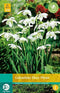 3 stuks - JUB - Galanthus Flore Pleno 5 bollen