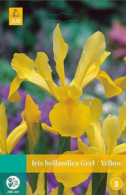 5 stuks - JUB - Iris hollandica geel 20 bollen