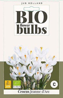 3 stuks - JUB - Crocus Jeanne d'Arc 8 bollen